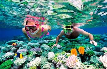 Унікальний підводний світ