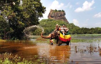 Доступна екзотика